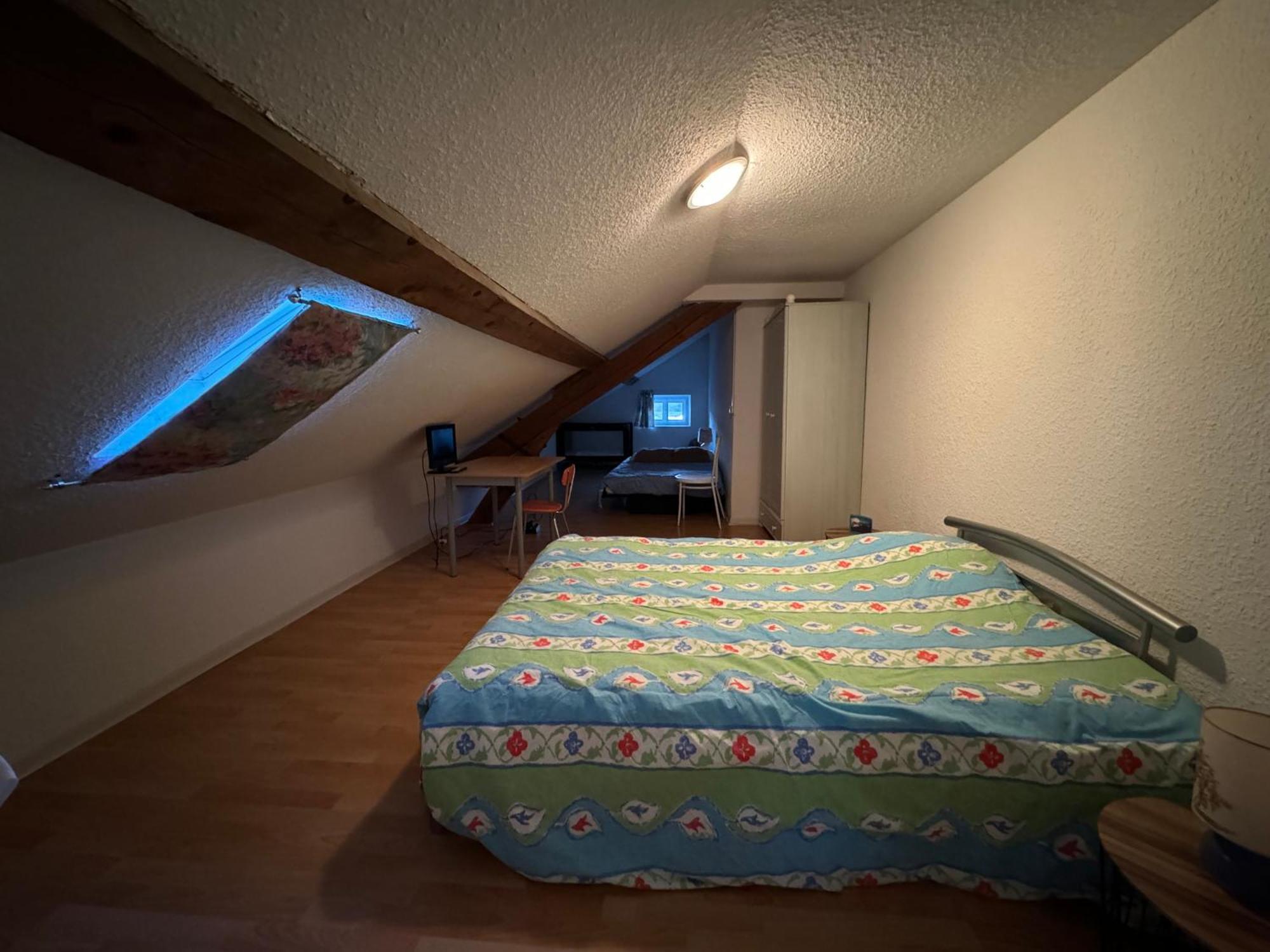 Appartement Logis Balneen Bains-les-Bains Εξωτερικό φωτογραφία