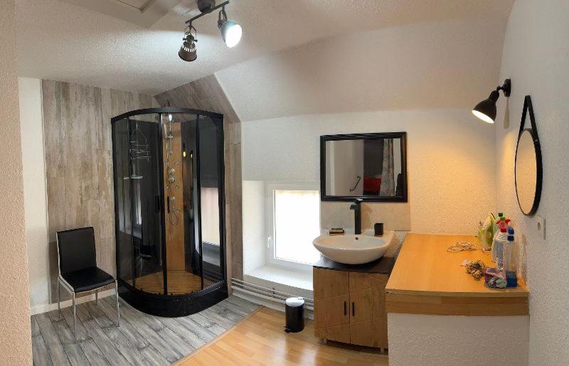 Appartement Logis Balneen Bains-les-Bains Εξωτερικό φωτογραφία